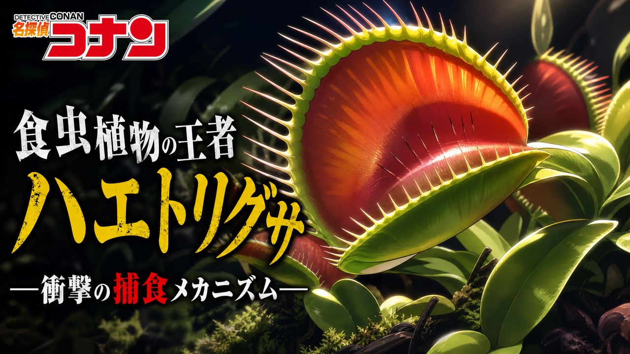四虎四虎-【四虎教程】食虫四虎捕食机制完整视频演示